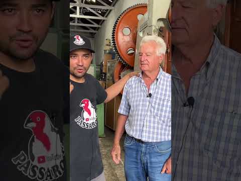 Vídeo 4
